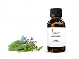 Borage Oil Refined 琉璃苣油 精煉
