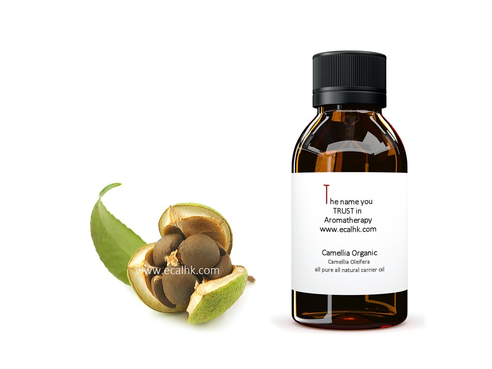 Camellia Oil Refined 茶花籽油 | 金花油 精煉