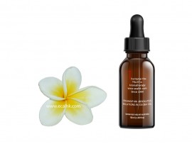 Frangipani Absolutes Oil Dilution in Jojoba 3%
