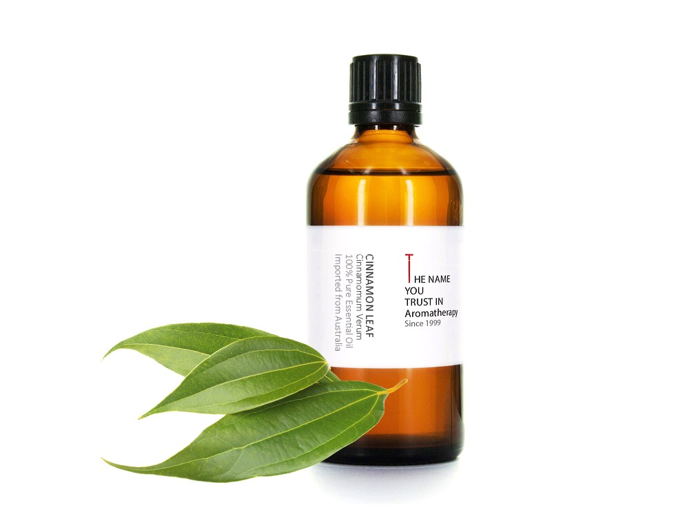 Cinnamon Leaf Essential Oil