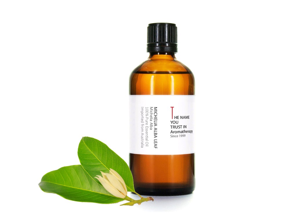 Champaka Leaf Essential Oil