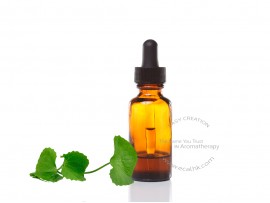 Gotu Kola Extract Liquid
