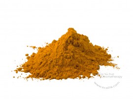 Kola Nut Extract Powder